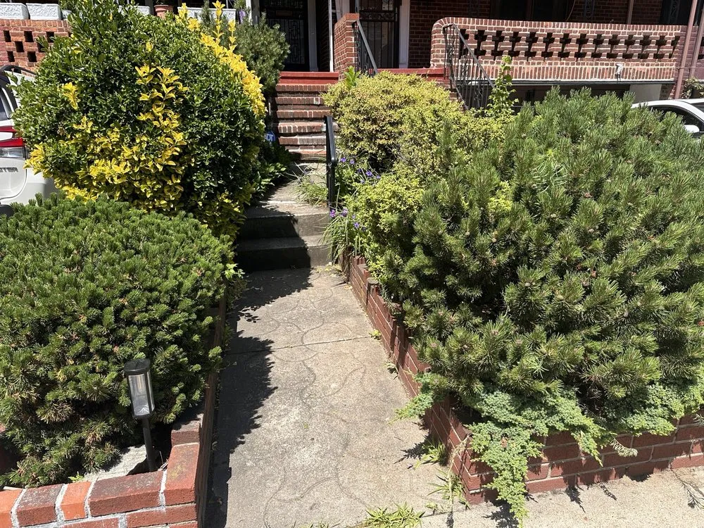 Professional yard cleanup service for year-round maintenance across New York, NY - Clean Sweep By Shawn