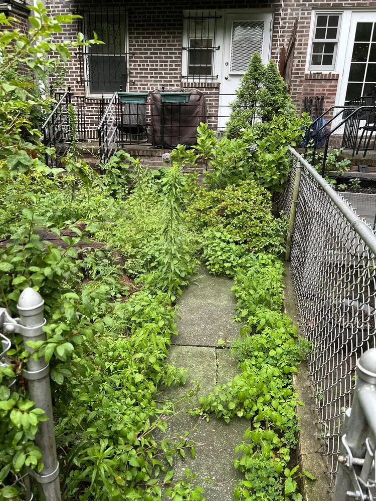 Reliable residential landscaping in New York, NY - Clean Sweep By Shawn