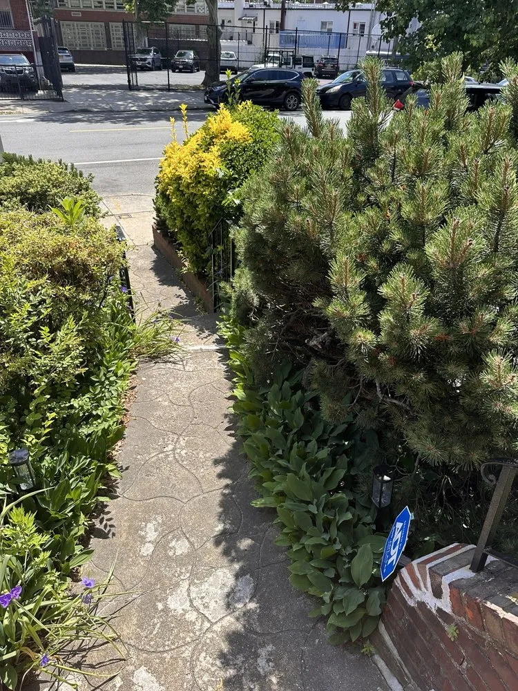 Affordable landscape installation for outdoor upgrades in New York, NY by Clean Sweep By Shawn