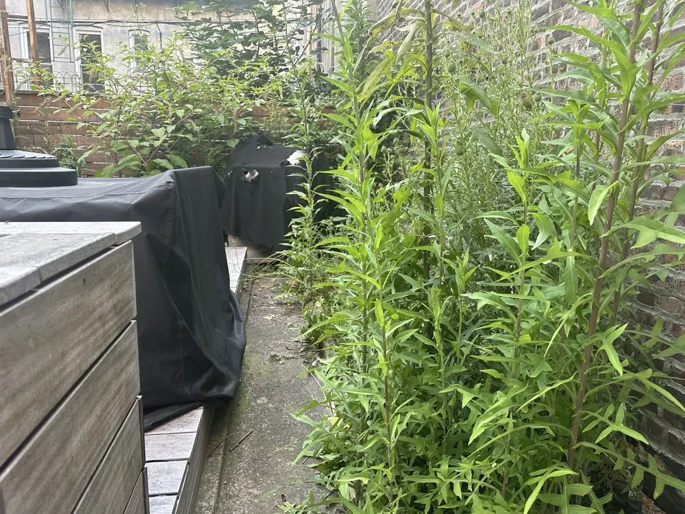 Professional residential landscaping experts serving New York, NY - Clean Sweep By Shawn