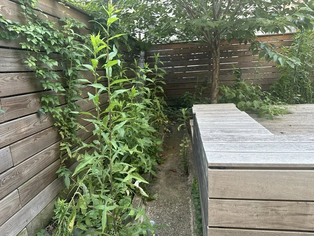 Top-rated lawn care service for year-round maintenance across New York, NY - Clean Sweep By Shawn