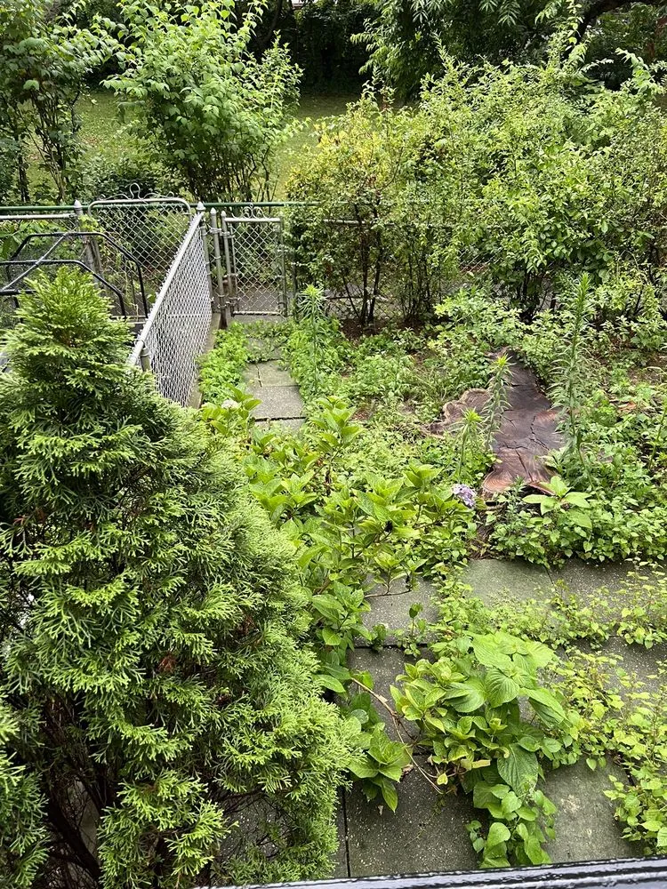 Expert yard maintenance in New York, NY by Clean Sweep By Shawn