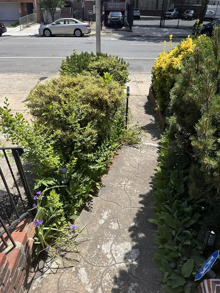 Top-rated yard cleanup service in New York, NY by Clean Sweep By Shawn