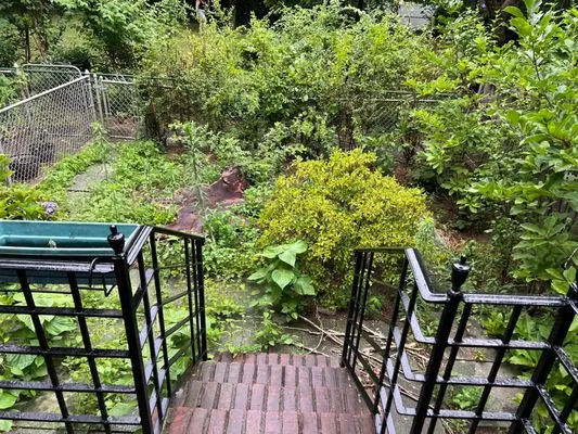 Clean Sweep By Shawn