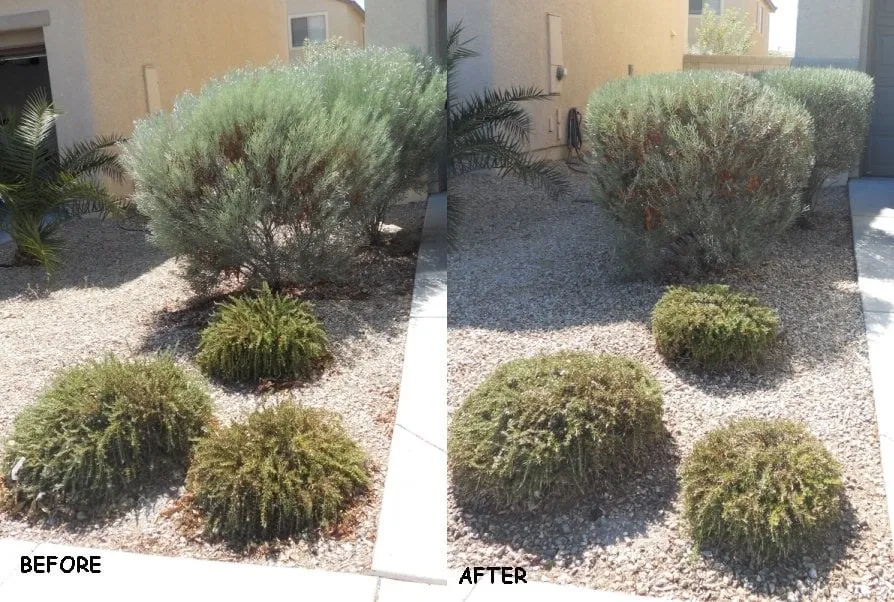 Professional residential landscaping near you across Las Vegas, NV - Clean Sweep Landscape Design & Management