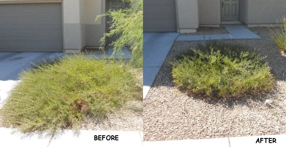 Affordable outdoor landscaping for residential properties in Las Vegas, NV by Clean Sweep Landscape Design & Management