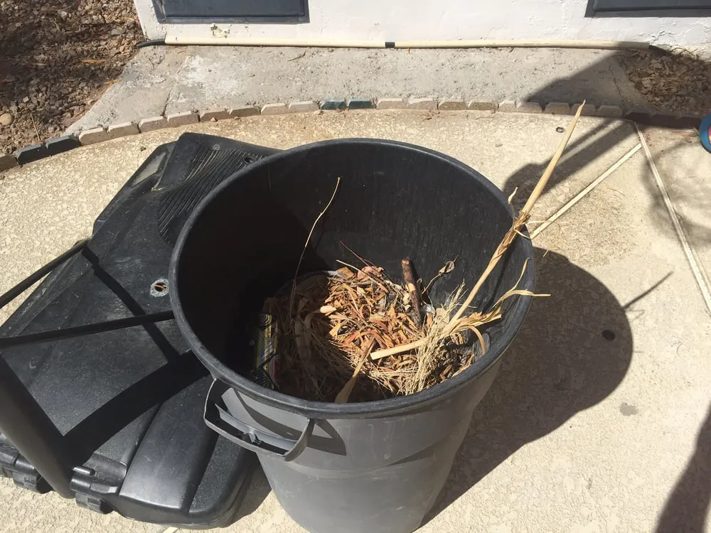 Reliable yard maintenance in Las Vegas, NV by Clean Sweep Landscape Design & Management