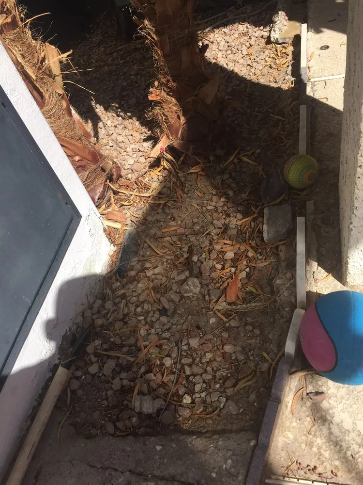 Top-rated lawn care service for homes in Las Vegas, NV by Clean Sweep Landscape Design & Management