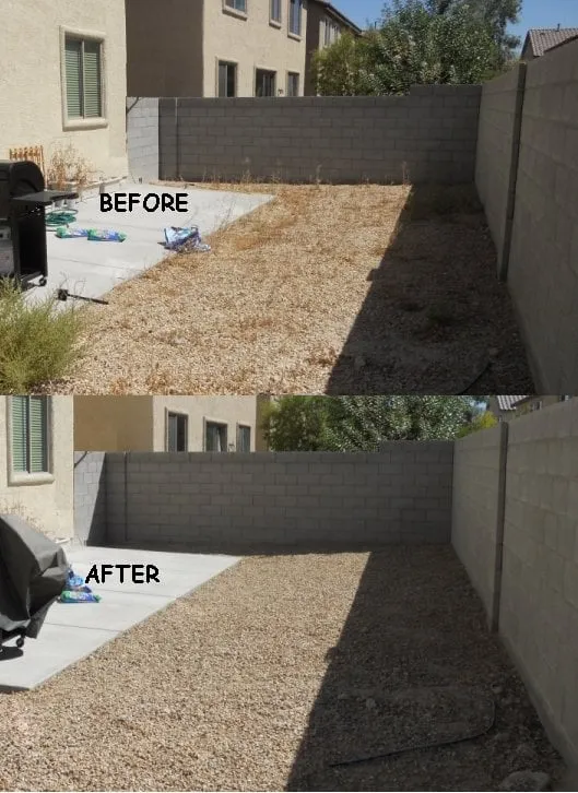 Expert yard cleanup service with custom design in Las Vegas, NV by Clean Sweep Landscape Design & Management