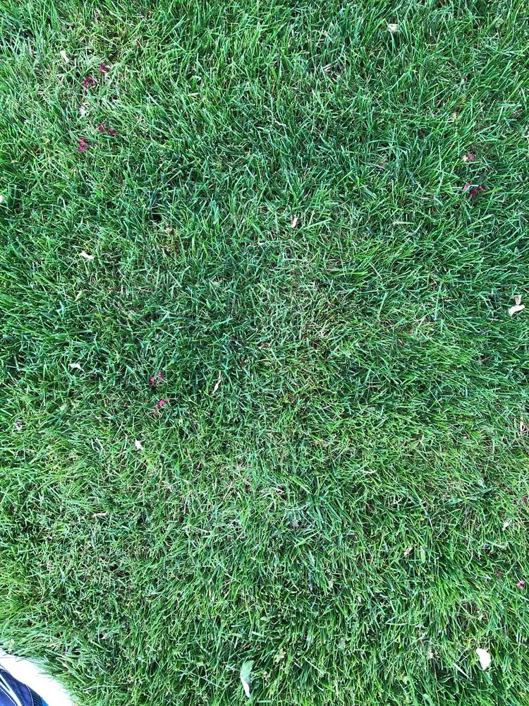 Affordable garden landscaping for beautiful yards across Danvers, MA - Clean Sweep Landscaping & Irrigation