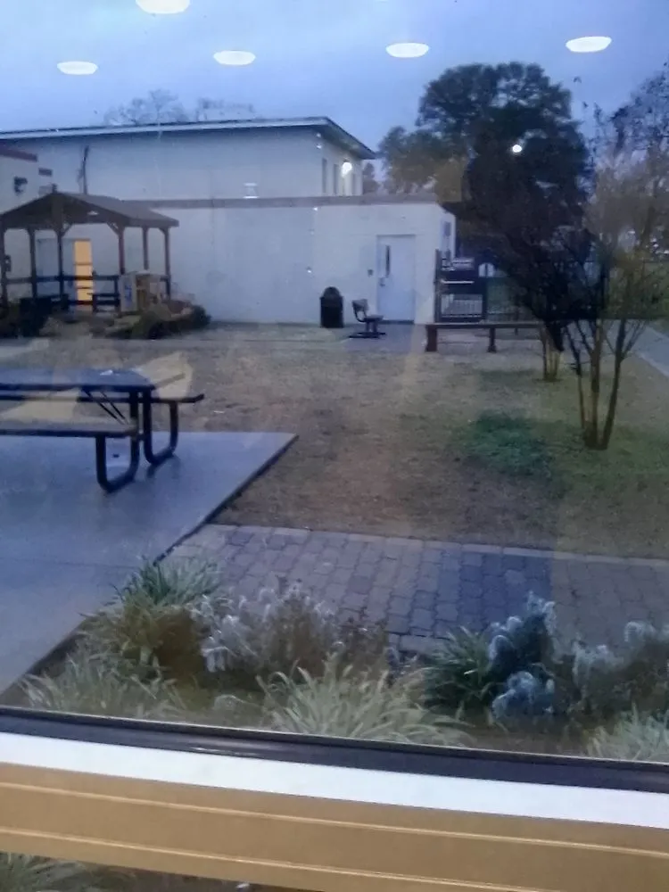 Affordable yard cleanup service in Hampton, VA by Clean Sweep Lawn Care