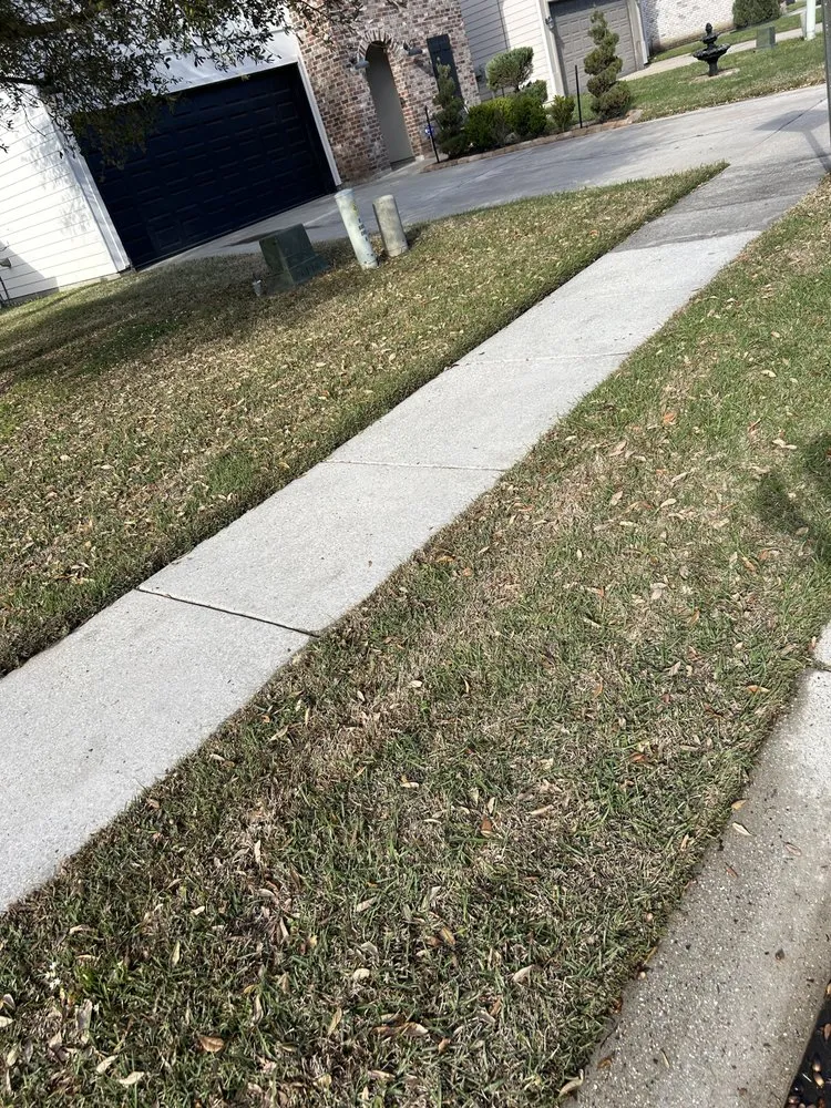 Local lawn care service experts serving Baton Rouge, LA - Clean Sweep Pressure Washing