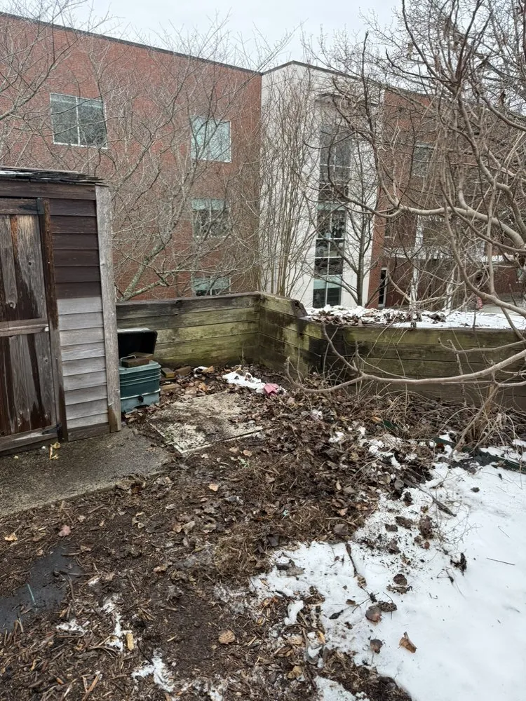 Expert yard cleanup service for beautiful yards in Charlotte, NC by Clean Sweep Property Services