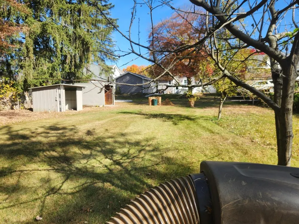 Custom yard maintenance in Springfield, MA by Clean Sweep