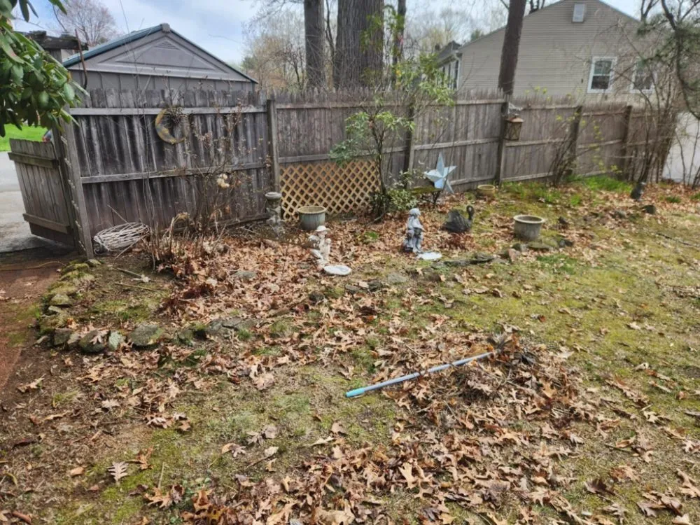 Professional lawn mowing service in Springfield, MA by Clean Sweep