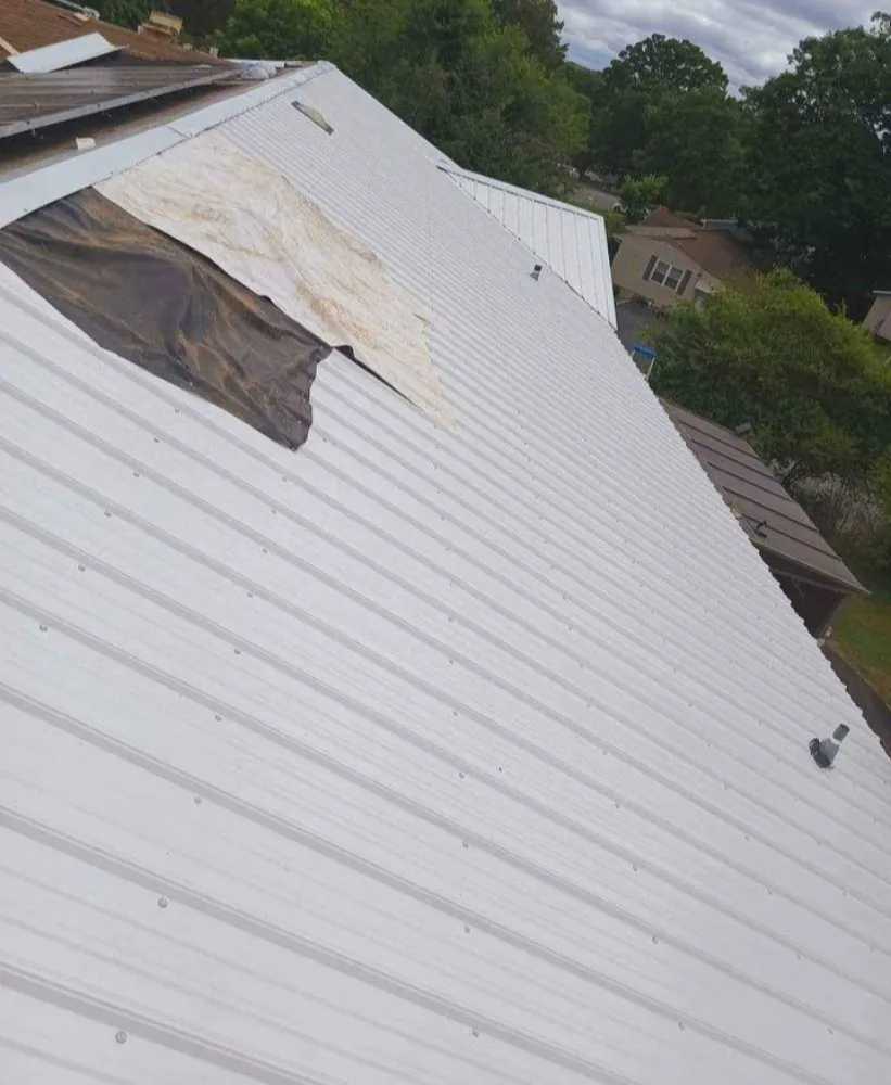 Trusted yard cleanup service experts serving Huntsville, AL - Clean Sweeps & Green Freaks