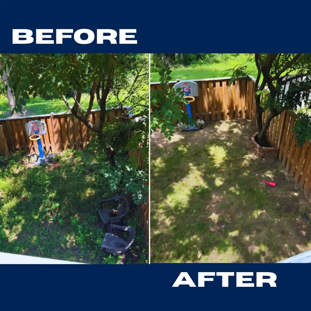 Affordable landscape design in Bowie, MD by Clean The Lawn Landscaping