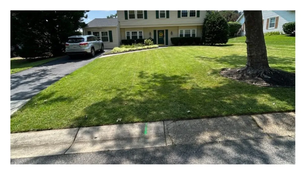 Local outdoor landscaping in Bowie, MD by Clean The Lawn Landscaping