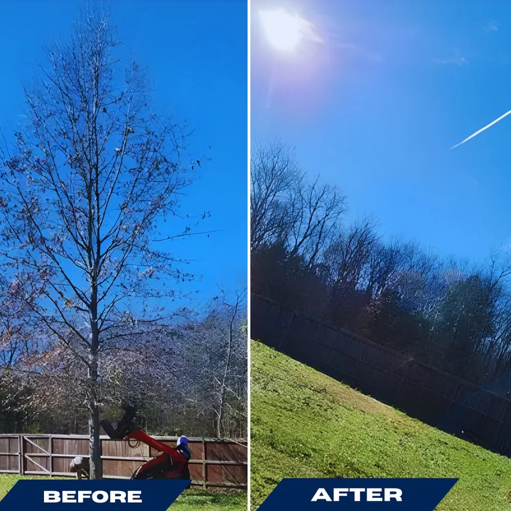 Professional yard cleanup service in Bowie, MD - Clean The Lawn Landscaping