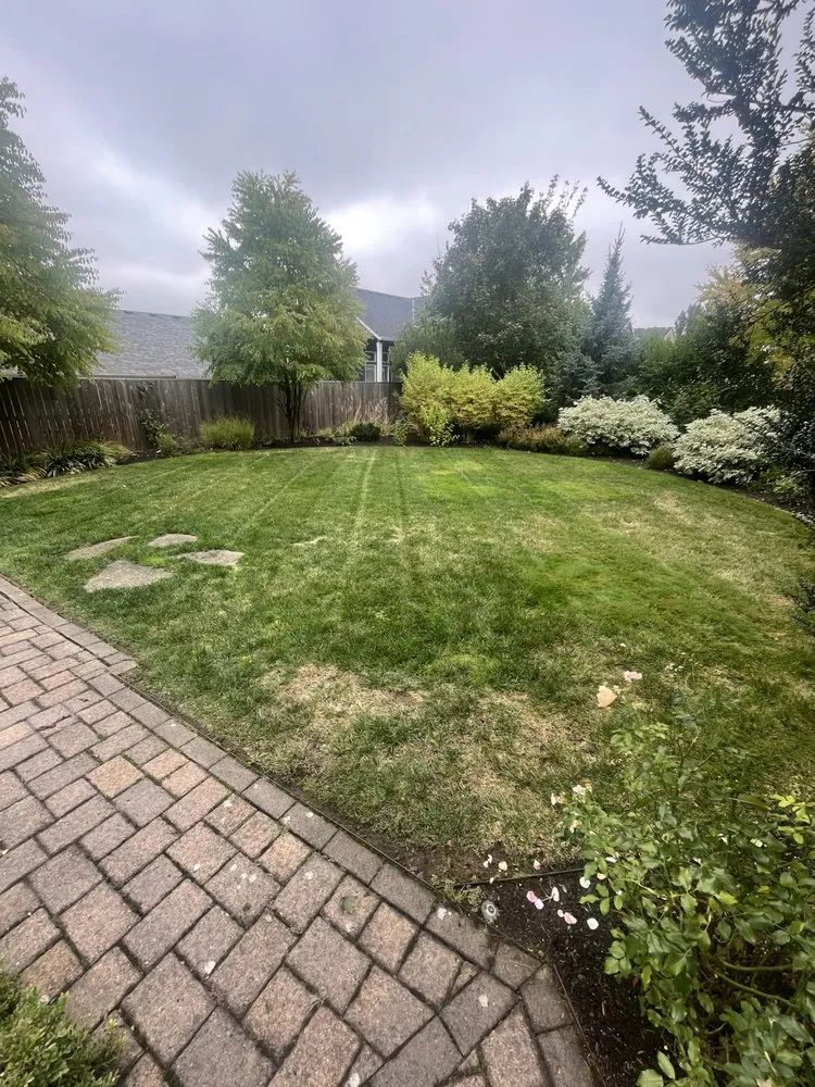 Local yard cleanup service in Oregon City, OR by Clean The Yard Yard Care