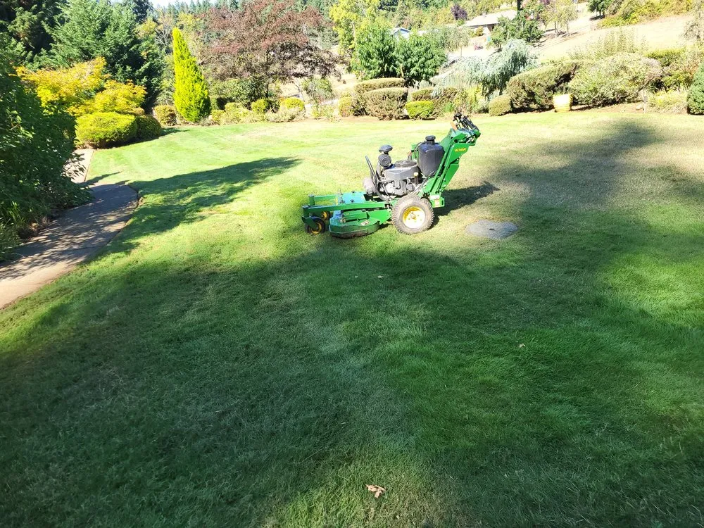 Local yard cleanup service in Oregon City, OR - Clean The Yard Yard Care