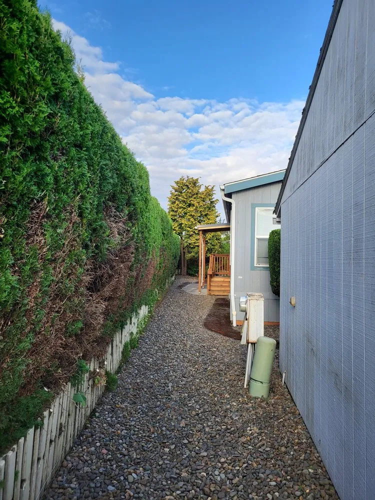 Reliable landscape design with custom design in Oregon City, OR by Clean The Yard Yard Care