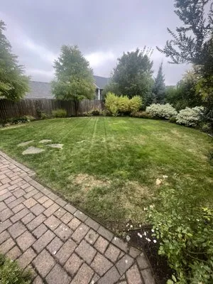 Clean The Yard Yard Care Logo