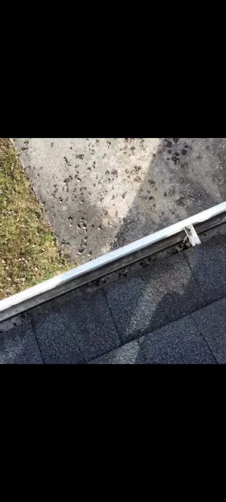 Reliable outdoor landscaping in Hendersonville, NC - Clean Time Gutters