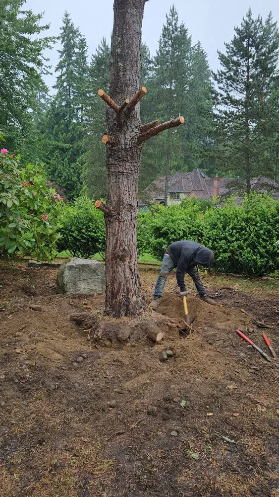 Expert residential landscaping for year-round maintenance in Port Orchard, WA by Clean Time Landscaping