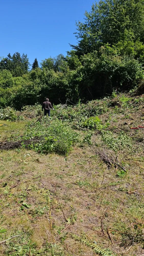 Affordable landscape installation for year-round maintenance in Port Orchard, WA by Clean Time Landscaping