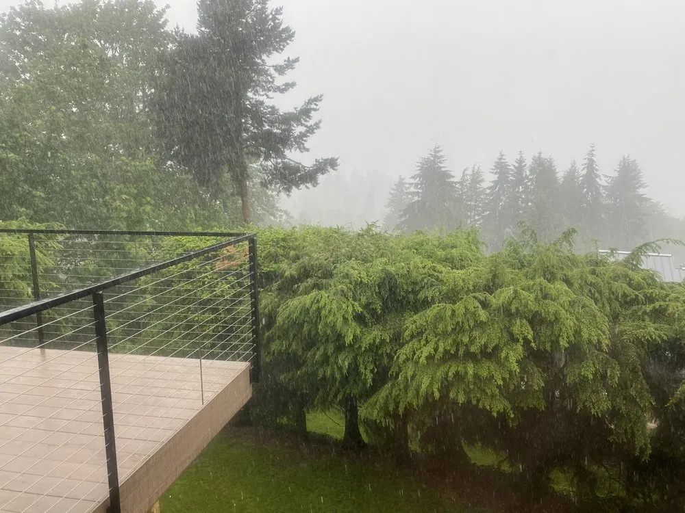 Expert landscape design in Port Orchard, WA - Clean Time Landscaping