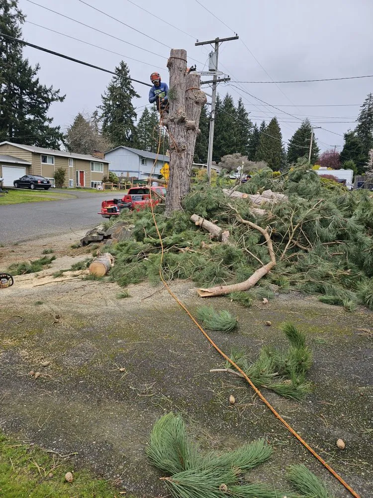 Top-rated garden landscaping experts serving Port Orchard, WA - Clean Time Landscaping