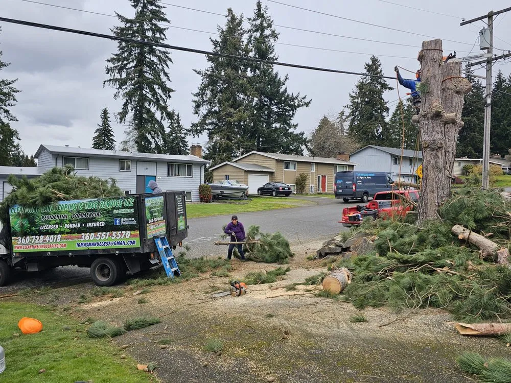 Custom landscaping services for year-round maintenance across Port Orchard, WA - Clean Time Landscaping