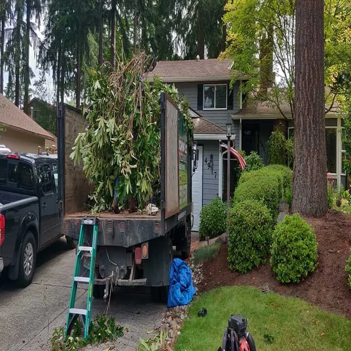 Professional lawn care service experts serving Port Orchard, WA - Clean Time Landscaping