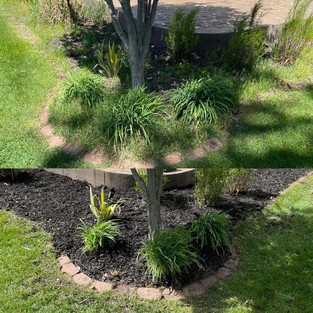 Top-rated lawn care service in Oxford, MI - Clean Up Crew