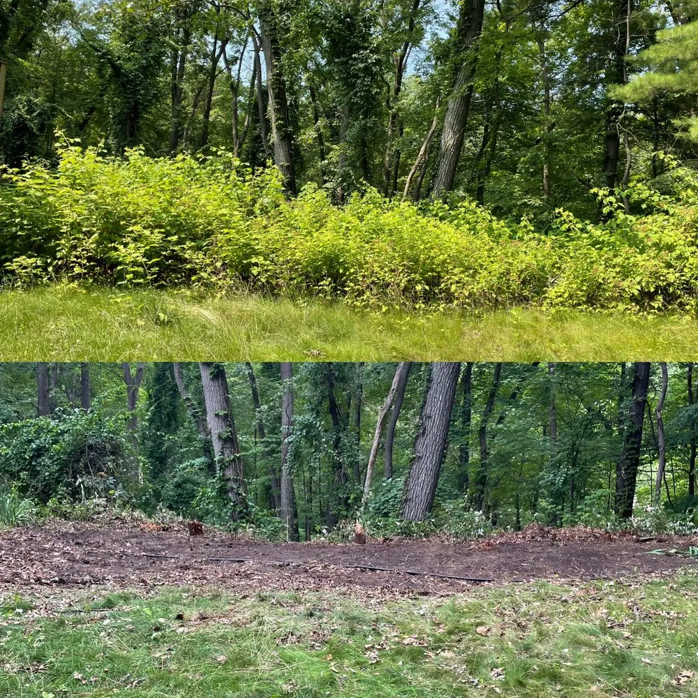 Affordable outdoor landscaping near you in Oxford, MI by Clean Up Crew