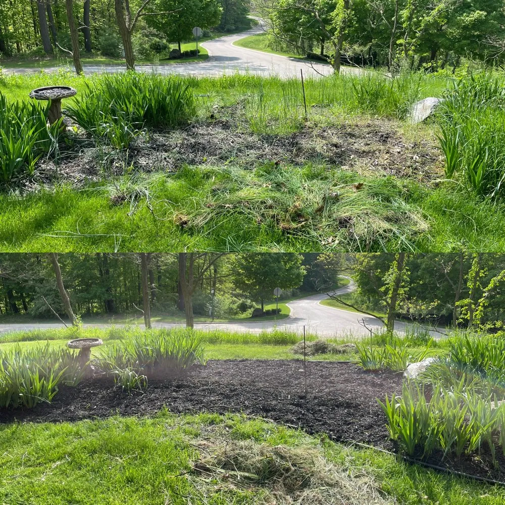 Local yard maintenance near you in Oxford, MI by Clean Up Crew