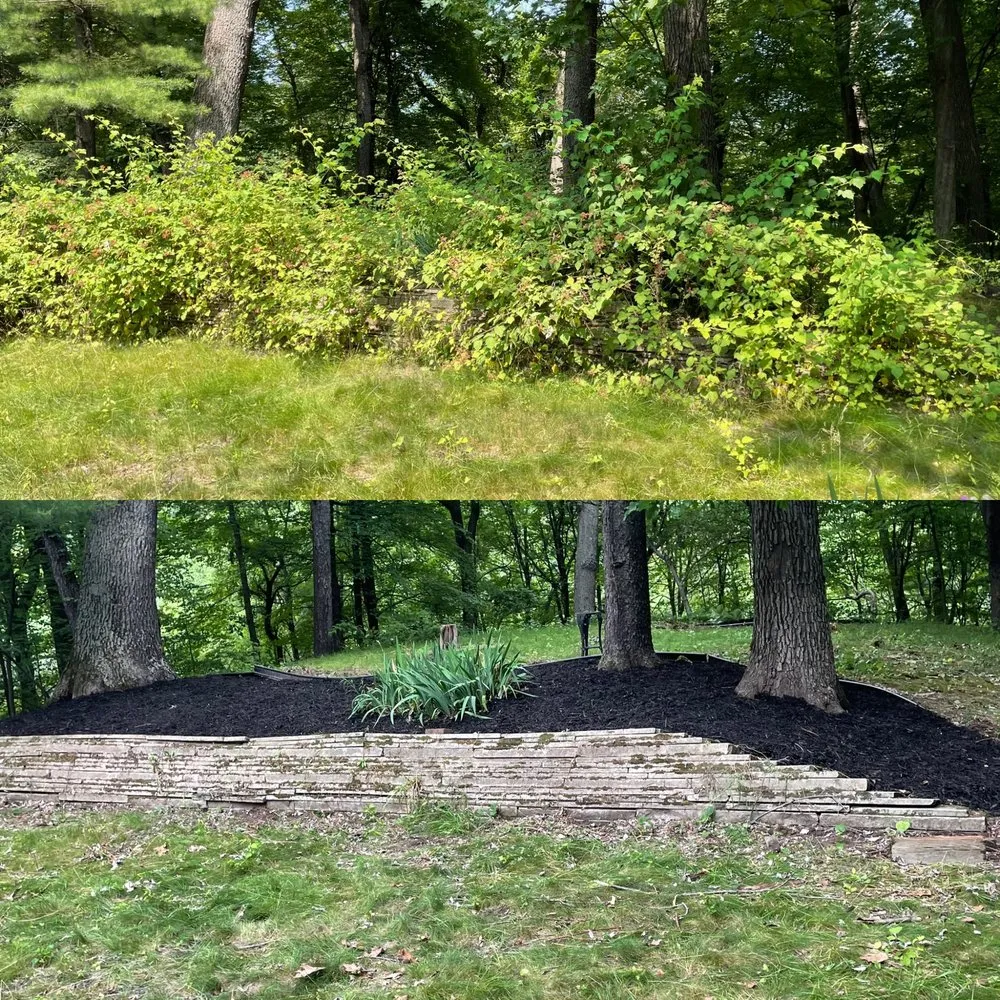 Reliable yard maintenance for residential properties in Oxford, MI by Clean Up Crew