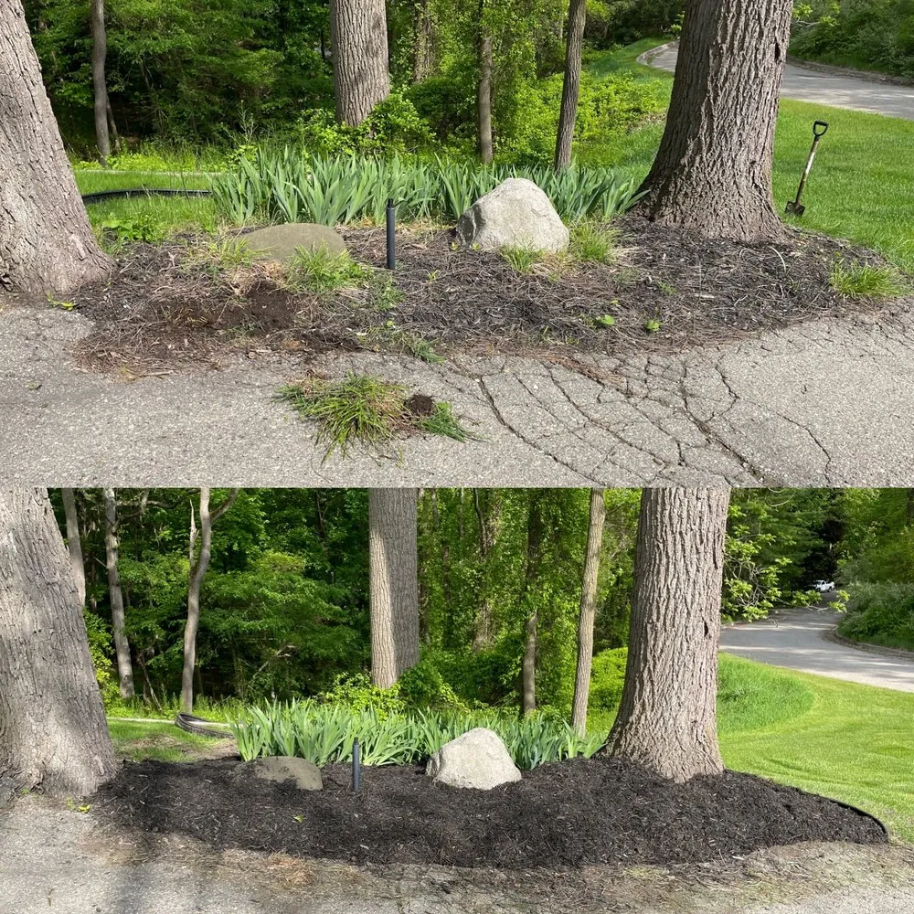 Reliable yard cleanup service in Oxford, MI - Clean Up Crew