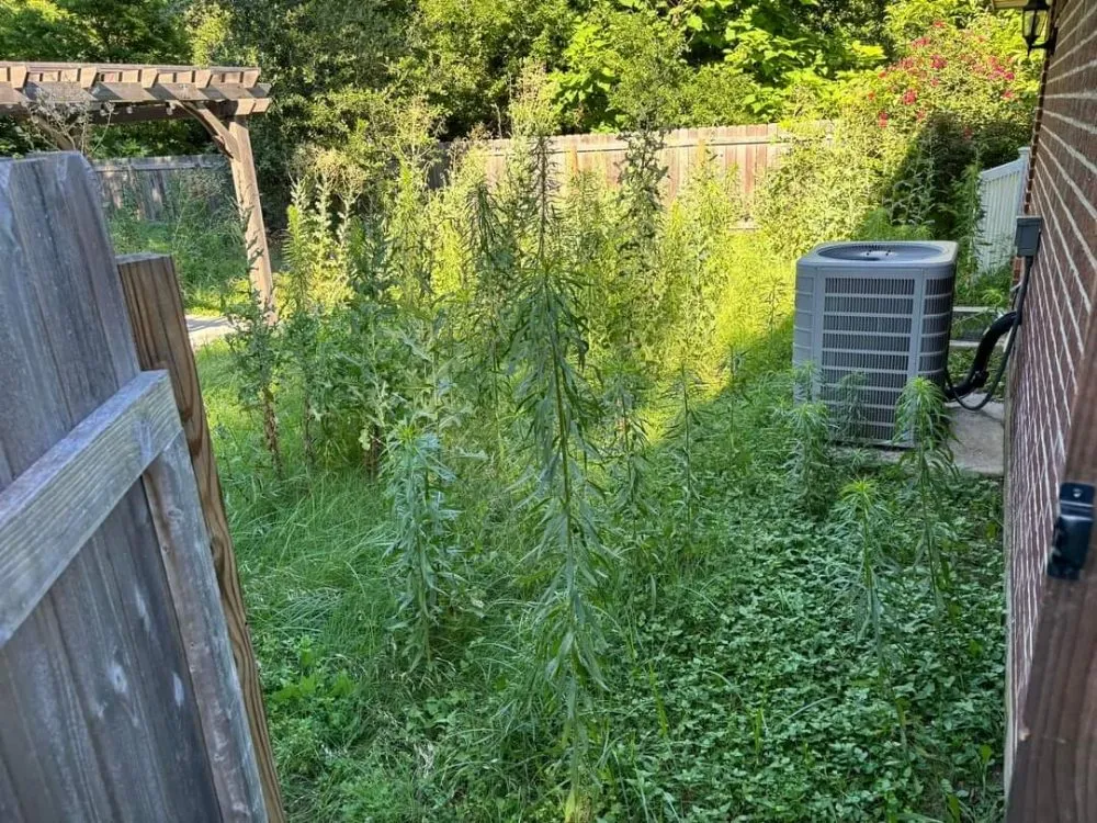 Custom lawn care service for homes in Waco, TX by Clean-Up Crew