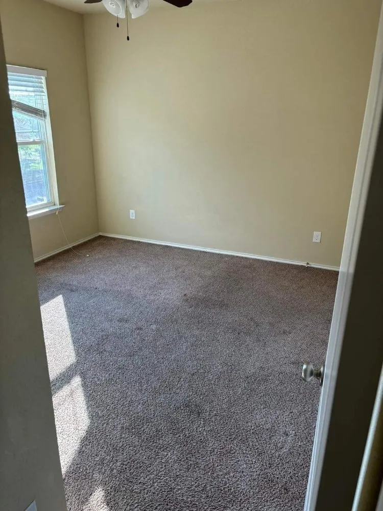 Professional yard maintenance in Waco, TX - Clean-Up Crew