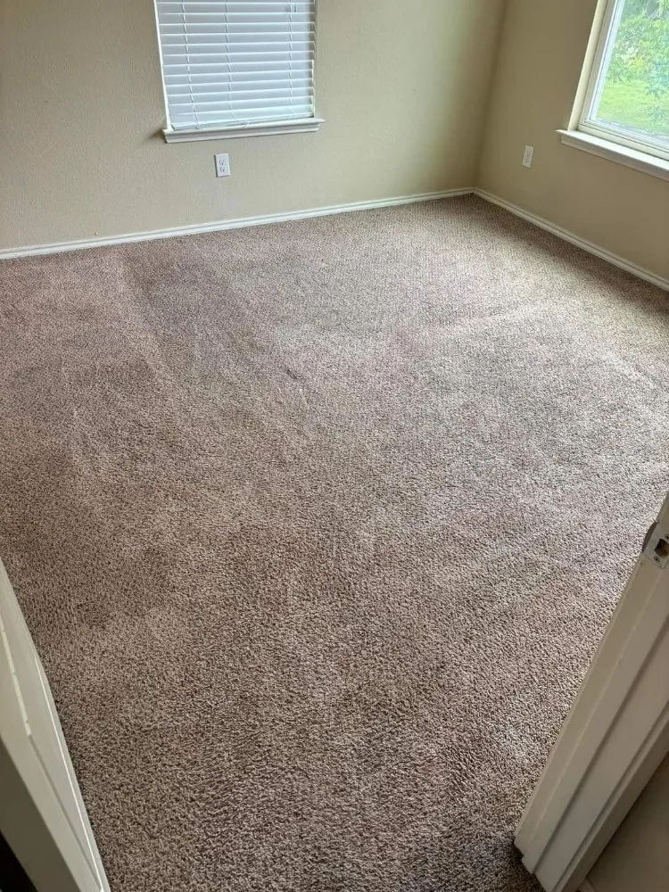 Custom yard maintenance for outdoor upgrades across Waco, TX - Clean-Up Crew