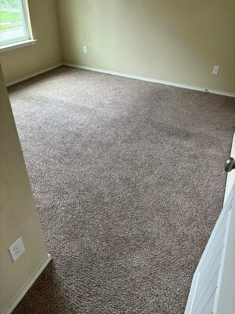 Professional landscaping services experts serving Waco, TX - Clean-Up Crew