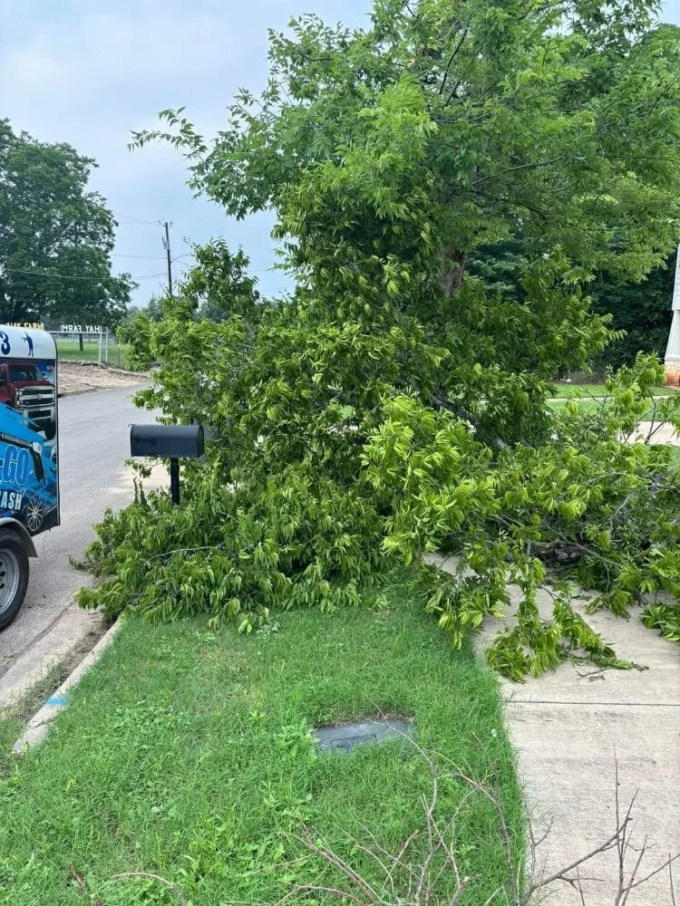Affordable landscape design in Waco, TX - Clean-Up Crew