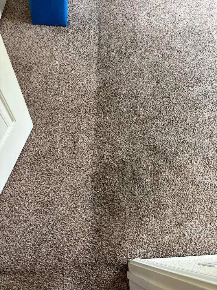 Local outdoor landscaping for outdoor upgrades in Waco, TX by Clean-Up Crew