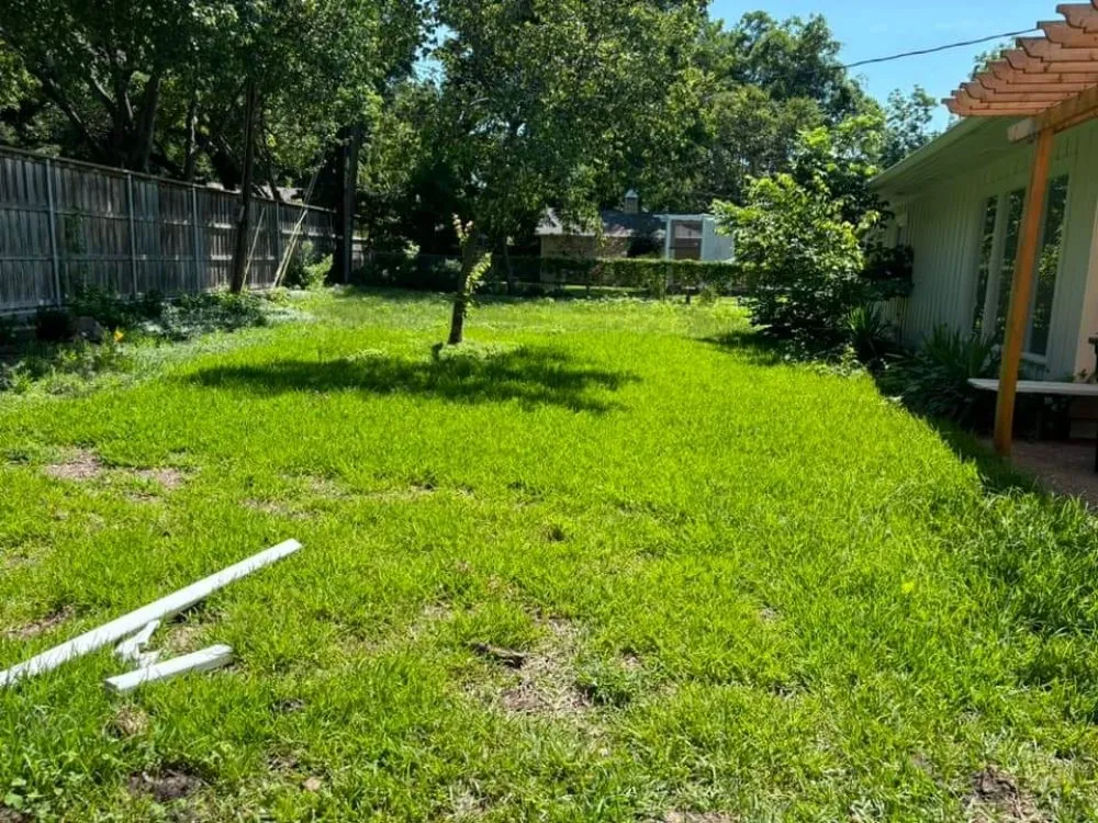Custom lawn care service in Waco, TX by Clean-Up Crew