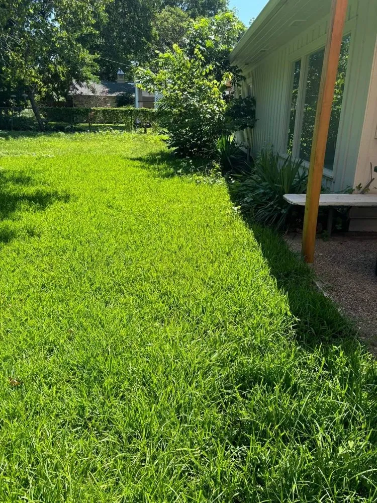 Trusted garden landscaping experts serving Waco, TX - Clean-Up Crew