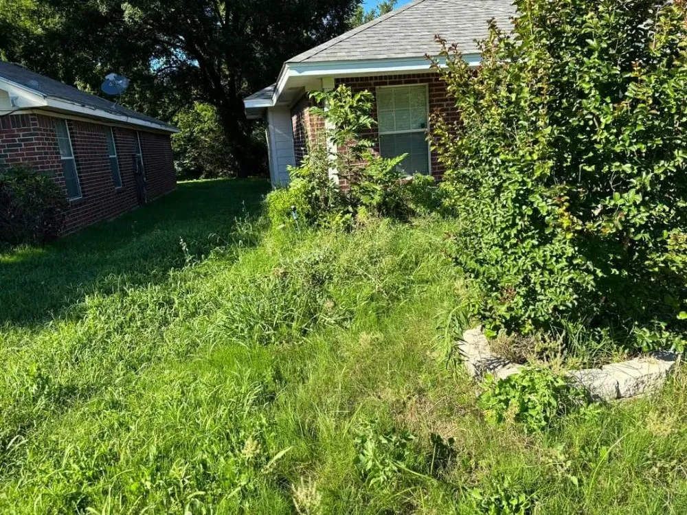 Top-rated landscape design with custom design across Waco, TX - Clean-Up Crew