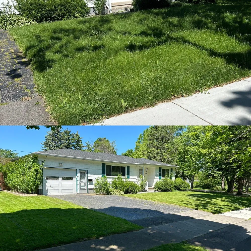 Top-rated lawn mowing service for year-round maintenance in Rochester, NY by Clean Up Guy