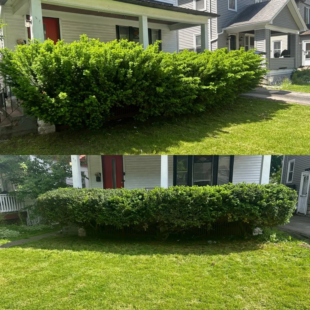 Custom garden landscaping for beautiful yards in Rochester, NY by Clean Up Guy